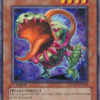 CSOC-EN025 - Gigantic Cephalotus - Common - 1st Edition