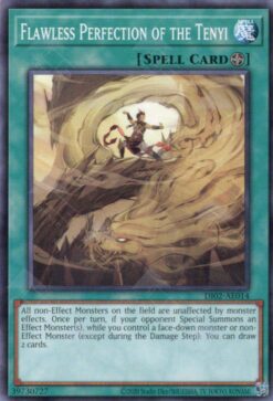 DI02-AE014 - Flawless Perfection of the Tenyi - Common