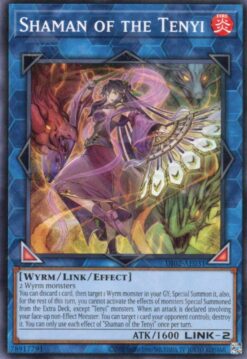 DI02-AE031 - Shaman of the Tenyi - Common