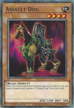 DLCS-EN035 - Assault Dog - Common - 1st Edition