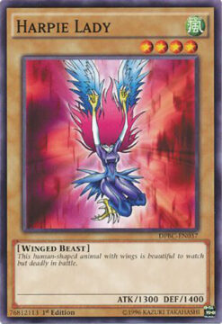 DPBC-EN037 - Harpie Lady - Common - 1st Edition