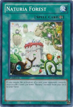 DREV-EN051 - Naturia Forest - Common - 1st Edition