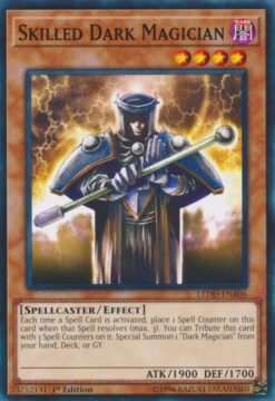 LEDD-ENA06 - Skilled Dark Magician - Common - 1st Edition