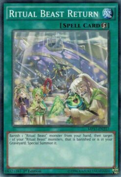 MP17-EN217 - Ritual Beast Return - Common - 1st Edition