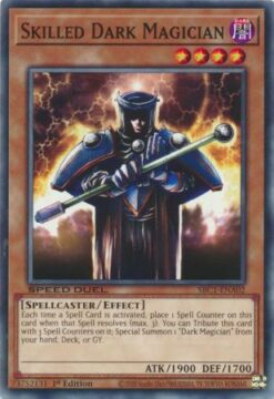 SBC1-ENA02 - Skilled Dark Magician - Common - 1st Edition