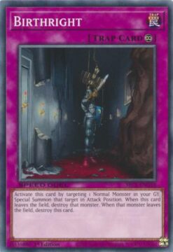 SBC1-ENG18 - Birthright - Common - 1st Edition