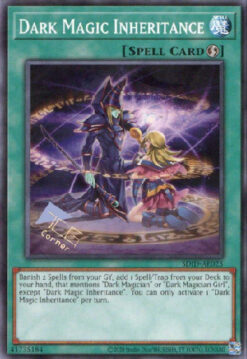 SDID-AE025 - Dark Magic Inheritance - Common