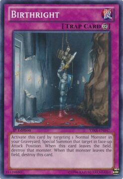 YSKR-EN047 - Birthright - Common - Unlimited