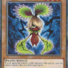 EGO1-EN012 - Evilswarm Mandragora - Common - 1st Edition